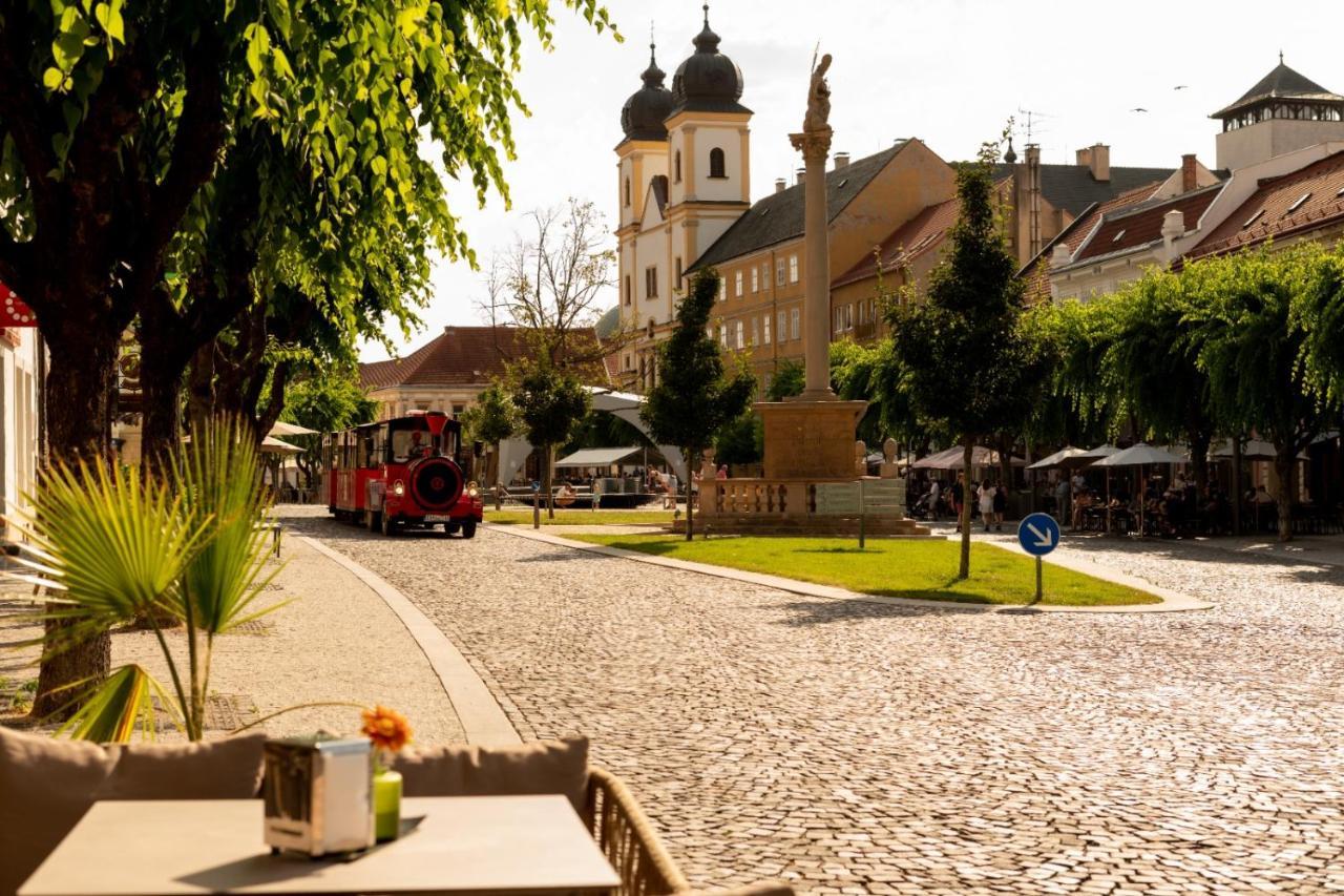 Penzion Deloris Trenčín エクステリア 写真